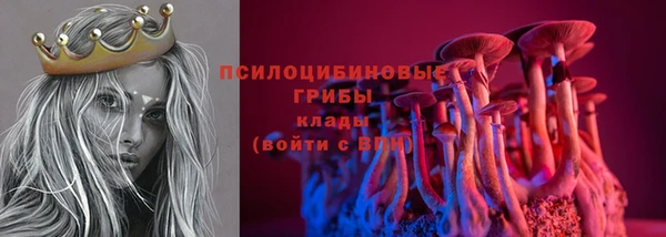 твердый Михайловка