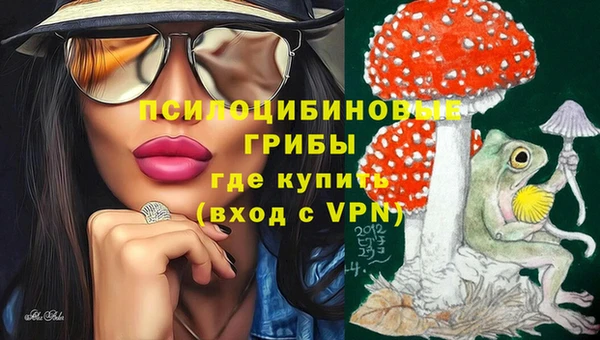 твердый Михайловка