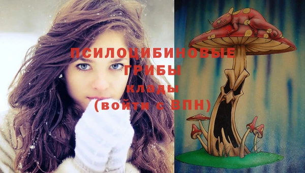 твердый Михайловка